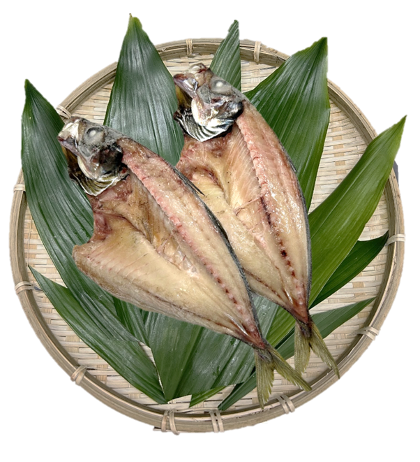 あじ塩干し(大)