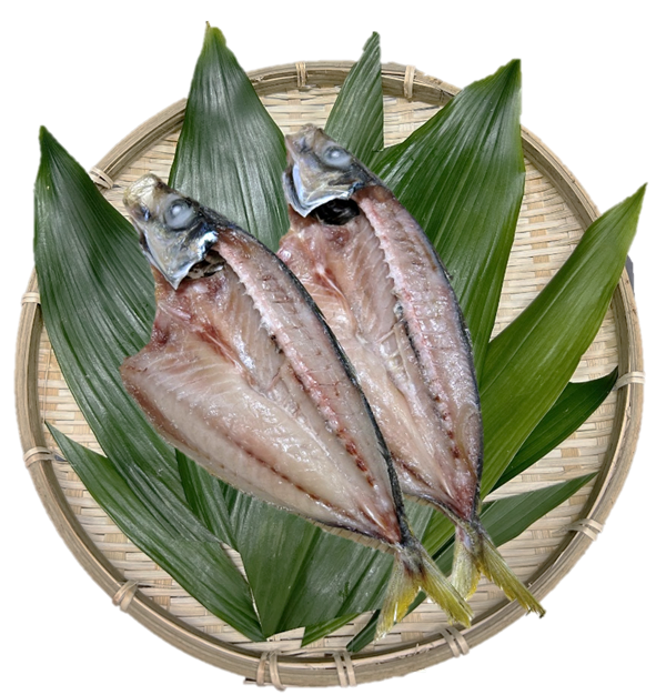 あじ塩干し(大)