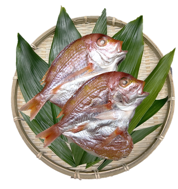 れんこ鯛塩干し