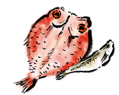 干物イラスト２