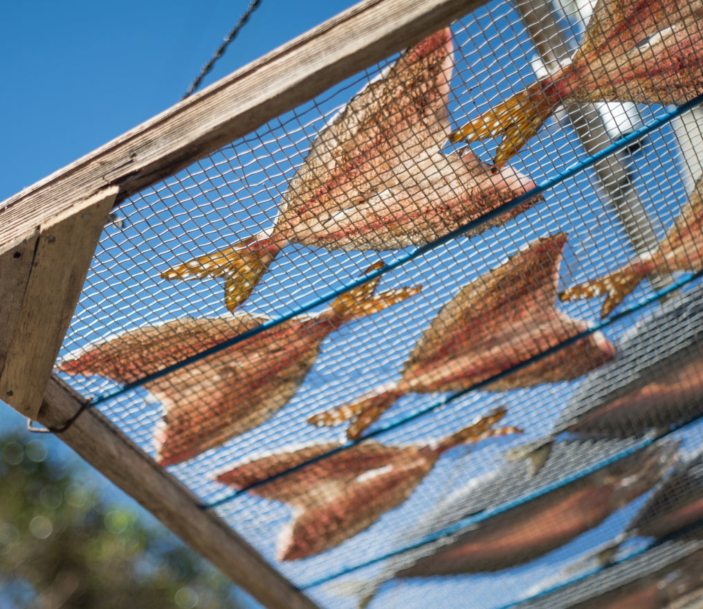 干物を干している様子